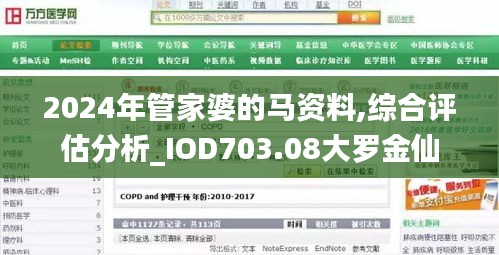 2024年管家婆的马资料,综合评估分析_IOD703.08大罗金仙