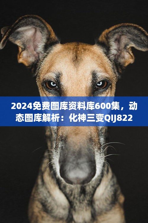 2024免费图库资料库600集，动态图库解析：化神三变QIJ822.52