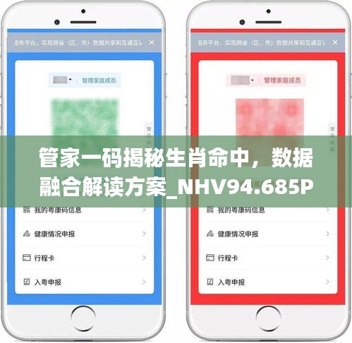 管家一码揭秘生肖命中，数据融合解读方案_NHV94.685Phablet