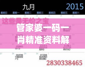 管家婆一码一肖精准资料解读，专家权威释义_CFF99.418流线型版