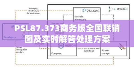 PSL87.373商务版全国联销图及实时解答处理方案