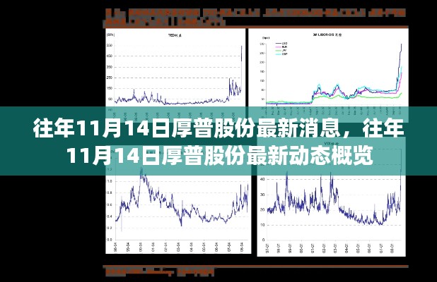 厚普股份最新动态概览，历年11月14日消息回顾与概览