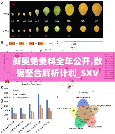 新奥免费料全年公开,数据整合解析计划_SXV21.417发布版