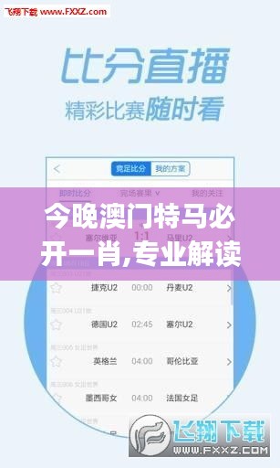 今晚澳门特马必开一肖,专业解读方案实施_DEP21.760社交版