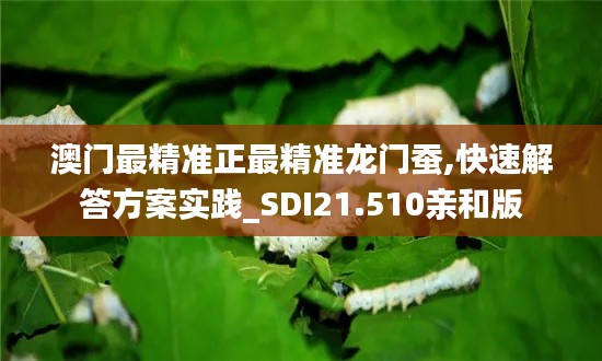 澳门最精准正最精准龙门蚕,快速解答方案实践_SDI21.510亲和版