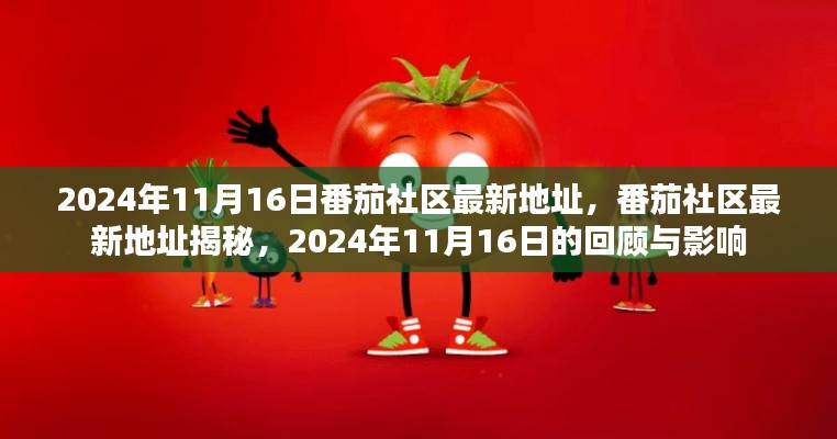 揭秘番茄社区最新地址，回顾与影响在2024年11月16日的事件历程