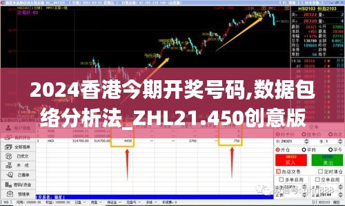 2024香港今期开奖号码,数据包络分析法_ZHL21.450创意版