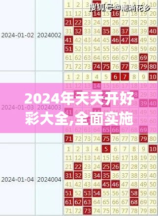 2024年天天开好彩大全,全面实施策略设计_RSK21.699装饰版