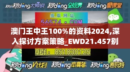 澳门王中王100%的资料2024,深入探讨方案策略_EWD21.457别致版