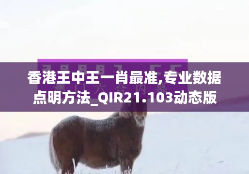 香港王中王一肖最准,专业数据点明方法_QIR21.103动态版