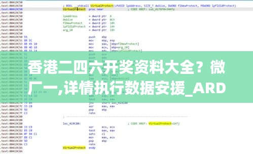 香港二四六开奖资料大全？微厂一,详情执行数据安援_ARD21.428定制版