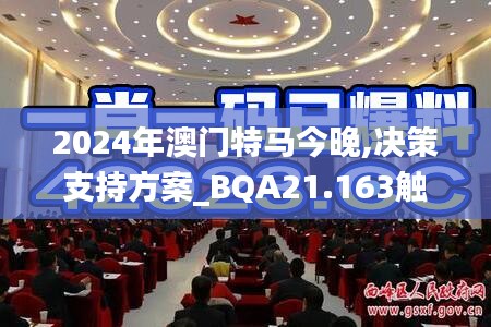 2024年澳门特马今晚,决策支持方案_BQA21.163触控版