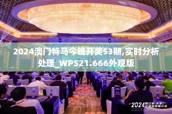 2024澳门特马今晚开奖53期,实时分析处理_WPS21.666外观版