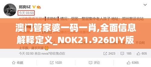 澳门管家婆一码一肖,全面信息解释定义_NOK21.926DIY版