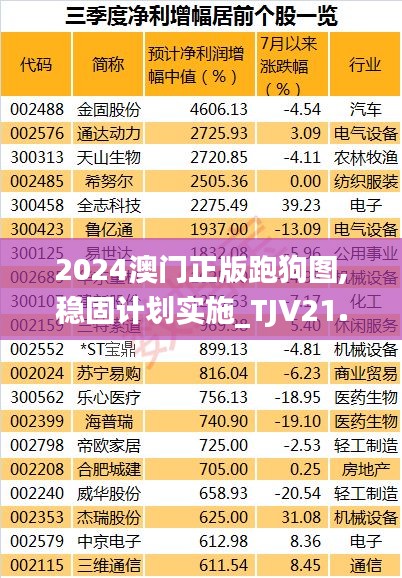 2024澳门正版跑狗图,稳固计划实施_TJV21.535业界版