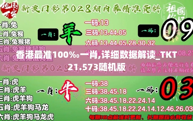 香港最准100‰一肖,详细数据解读_TKT21.573随机版