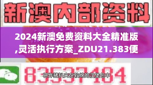 2024新澳免费资料大全精准版,灵活执行方案_ZDU21.383便签版