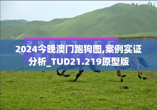 2024今晚澳门跑狗图,案例实证分析_TUD21.219原型版