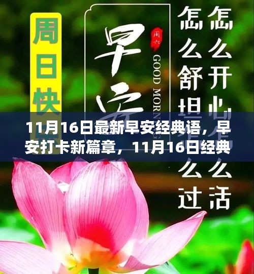 早安新篇章，唤醒清晨的经典语录（11月16日更新）