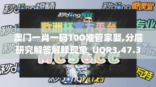 澳门一肖一码10O准管家娶,分层研究解答解释现象_UQR3.47.30内置版