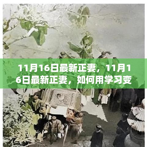 如何用学习变化铸就自信与成就，照亮人生之路——最新正妻的成长故事（11月16日）