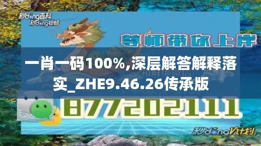 一肖一码100%,深层解答解释落实_ZHE9.46.26传承版