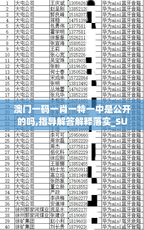 澳门一码一肖一特一中是公开的吗,指导解答解释落实_SUM2.79.35L版