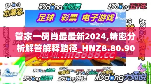 管家一码肖最最新2024,精密分析解答解释路径_HNZ8.80.90高速版