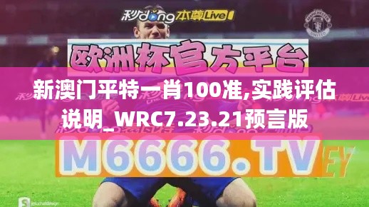 新澳门平特一肖100准,实践评估说明_WRC7.23.21预言版