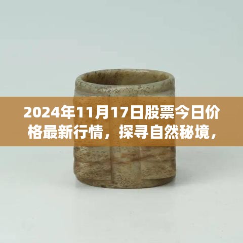 探寻自然秘境，心灵之旅与股市行情小记 2024年11月17日股市与生态观察