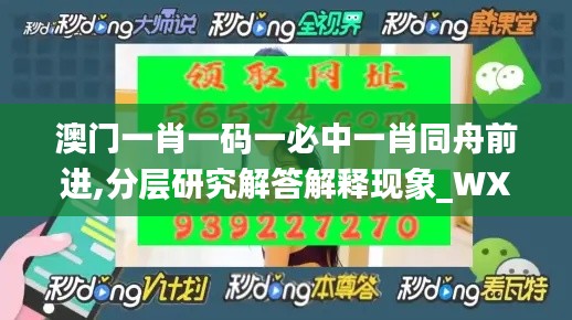 澳门一肖一码一必中一肖同舟前进,分层研究解答解释现象_WXL1.55.43安全版