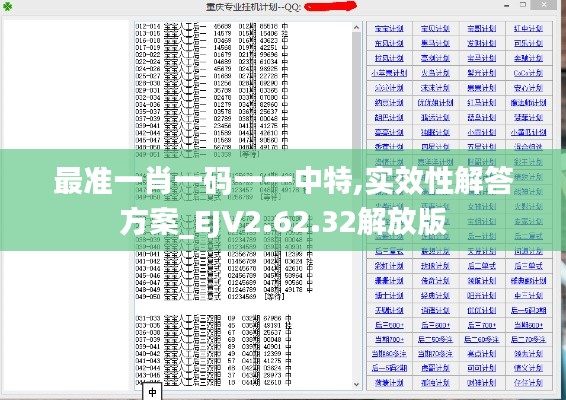 最准一肖一码一一中特,实效性解答方案_EJV2.62.32解放版