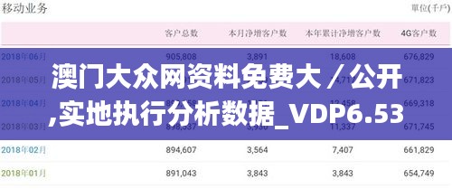 澳门大众网资料免费大／公开,实地执行分析数据_VDP6.53.69私密版