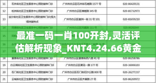 最准一码一肖100开封,灵活评估解析现象_KNT4.24.66黄金版