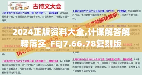 2024正版资料大全,计谋解答解释落实_FEJ7.66.78复刻版