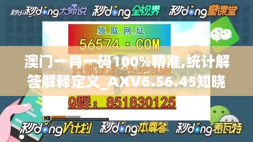 澳门一肖一码100%精准,统计解答解释定义_AXV6.56.45知晓版