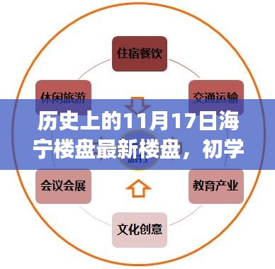 历史上的11月17日海宁楼盘动态，最新楼盘探索指南及初学者进阶指南