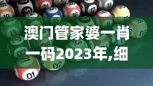 澳门管家婆一肖一码2023年,细致研究解答解释策略_ZSI3.45.98锐意版