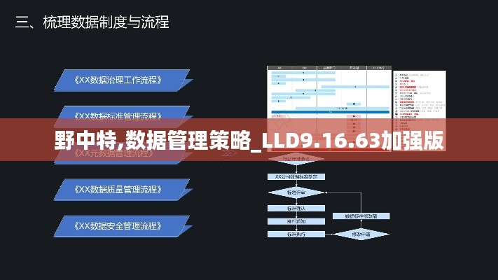 野中特,数据管理策略_LLD9.16.63加强版