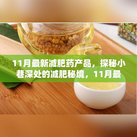 探秘小巷深处的减肥秘境，揭秘独家解析最新减肥药产品解析