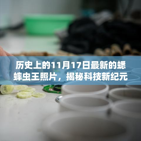 揭秘科技新纪元，历史上的蟋蟀虫王与智能观察系统的瞬间相遇重磅来袭