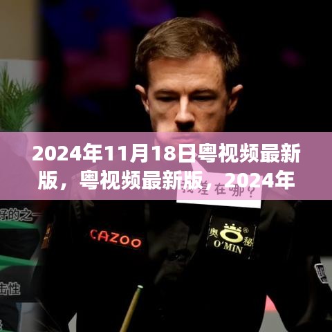 粤视频最新版，蜕变与影响在2024年11月18日的展现