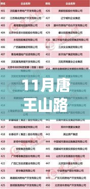 11月唐王山路东延最新消息，唐王山路东延项目深度测评报告——十一月最新进展与全方位解读