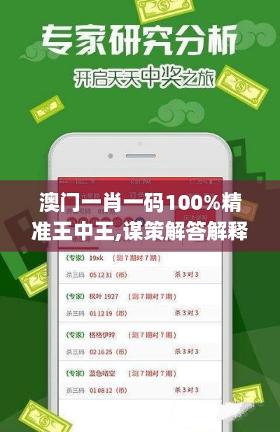 澳门一肖一码100%精准王中王,谋策解答解释落实_CKK6.38.62荣耀版