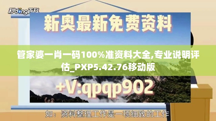 管家婆一肖一码100%准资料大全,专业说明评估_PXP5.42.76移动版