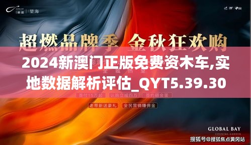 2024新澳门正版免费资木车,实地数据解析评估_QYT5.39.30星耀版