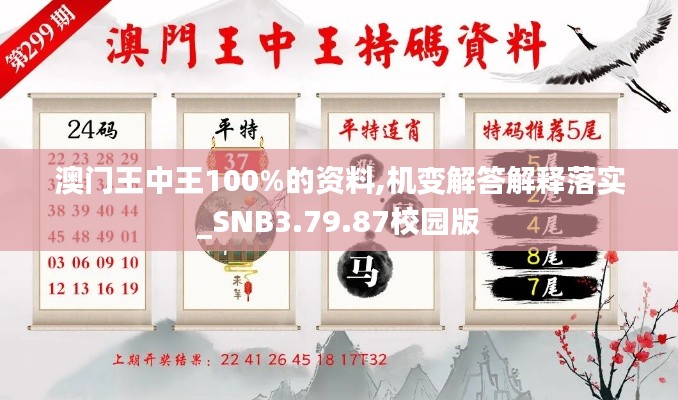 澳门王中王100%的资料,机变解答解释落实_SNB3.79.87校园版