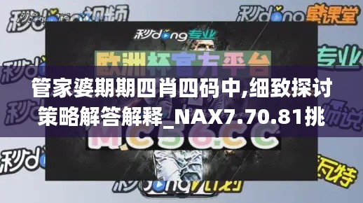 管家婆期期四肖四码中,细致探讨策略解答解释_NAX7.70.81挑战版