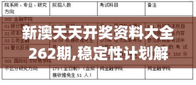 新澳天天开奖资料大全262期,稳定性计划解析_MXH6.56.94怀旧版