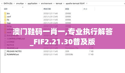 澳门鞋码一肖一,专业执行解答_FIF2.21.30普及版